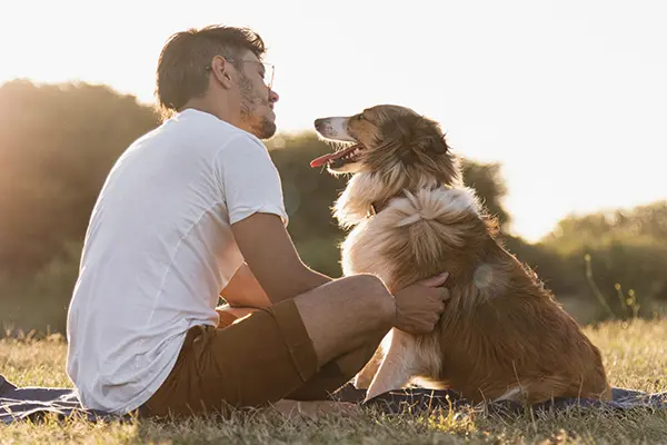 Dog Friendly